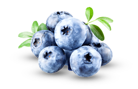 Blueberry