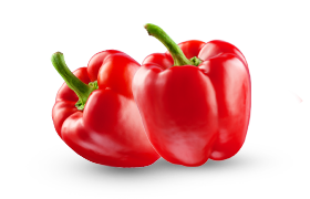 capsicum