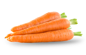 carrot