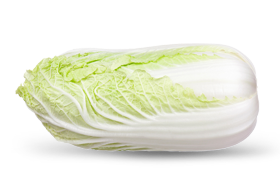 chinese cabbage